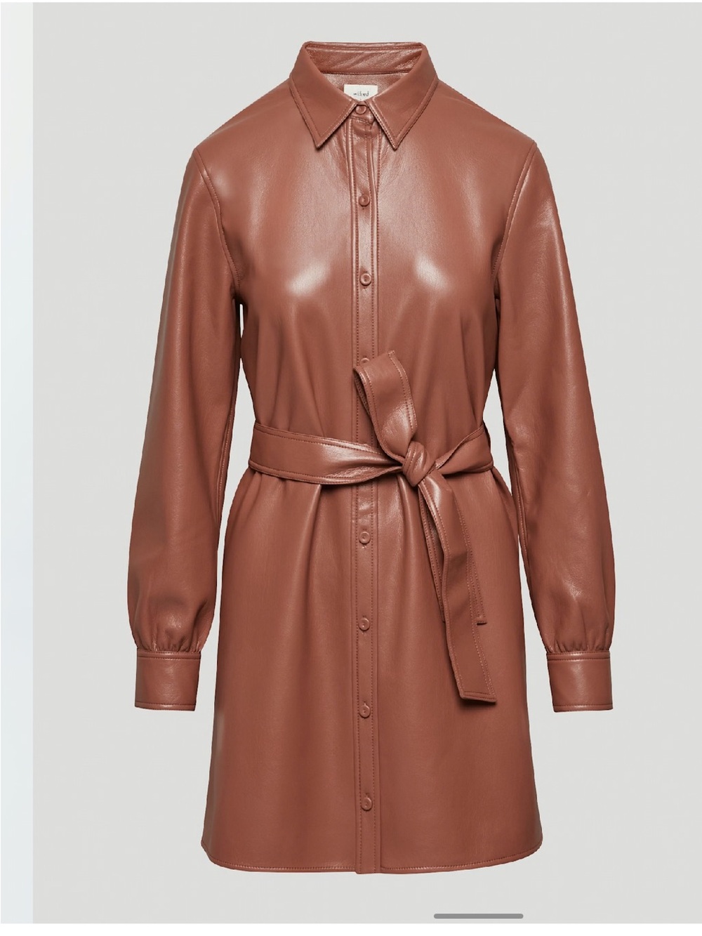 Aritzia Wilfred Caroline Dress - Picture 4 of 14